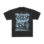 Mitochondria Diagram Tee