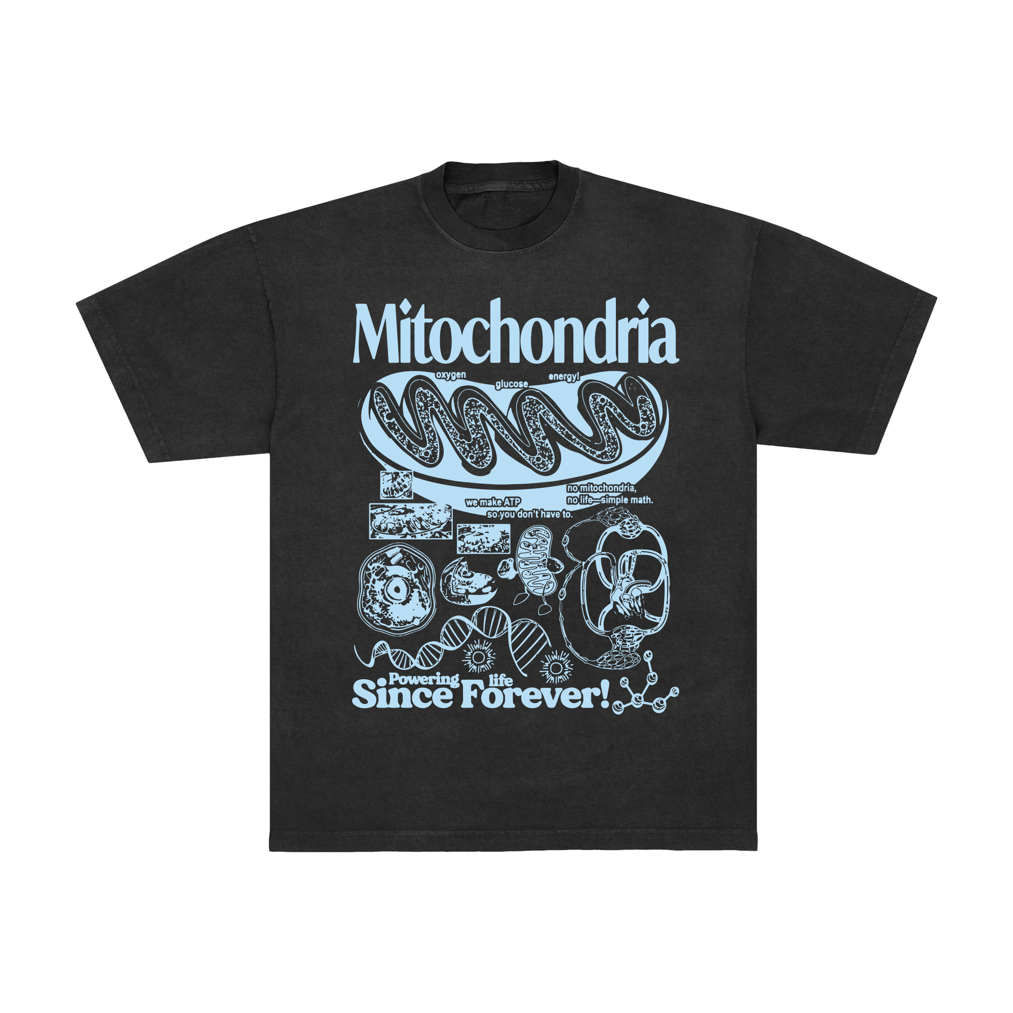 Mitochondria Diagram Tee
