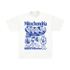 Mitochondria Diagram Tee