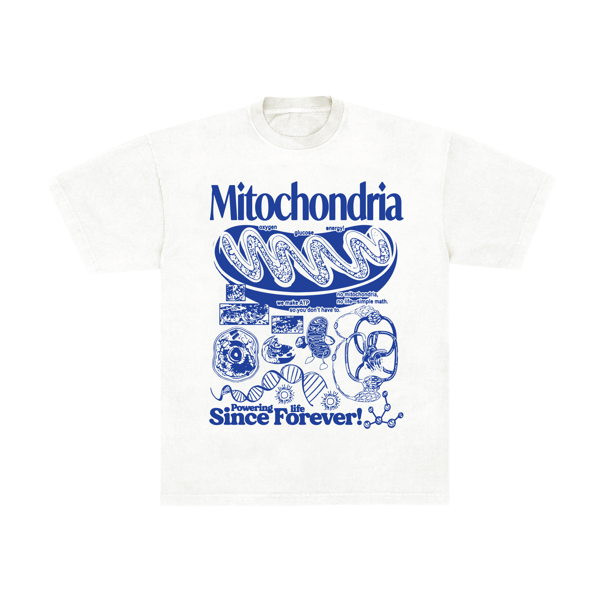 Mitochondria Diagram Tee