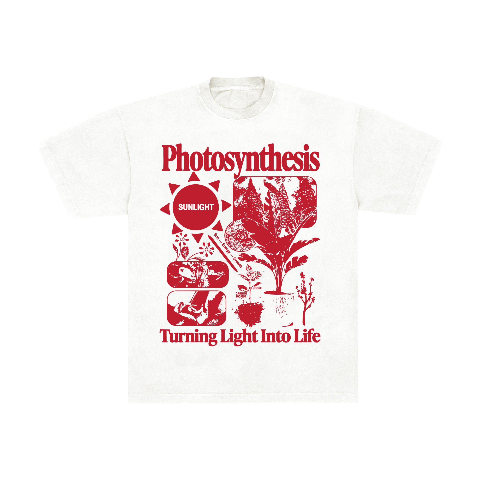 Photosynthesis Tee